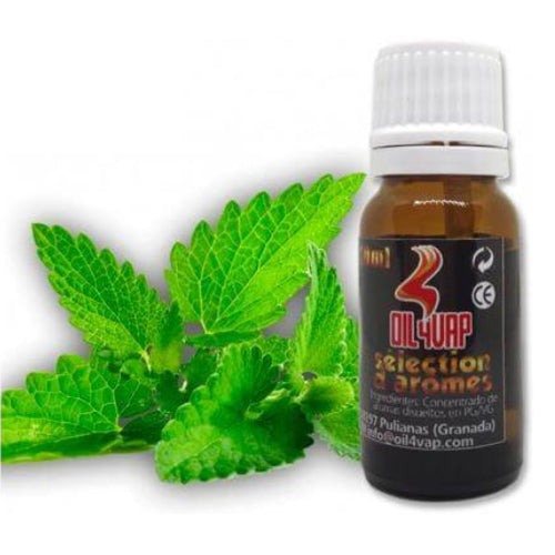 Hierbabuena 10ml Oil4vap