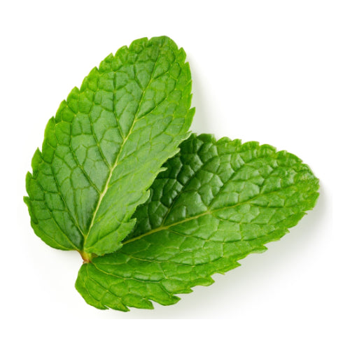 Spearmint (Hierbabuena) (Hangsen) 10ml