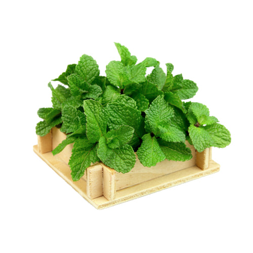 Hangsen sabor Strong Mint